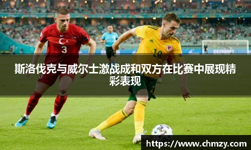 斯洛伐克与威尔士激战成和双方在比赛中展现精彩表现